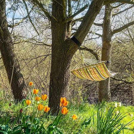 Feriehus 6 Person In Romo